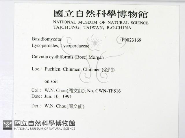 登錄號:F0023169藏品圖，第2張