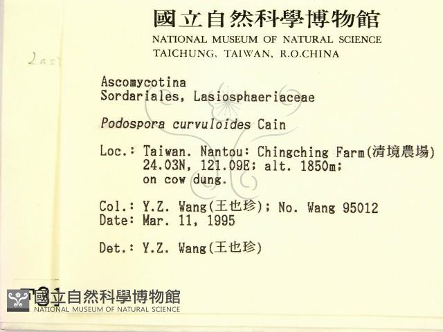 登錄號:F0003169藏品圖，第2張