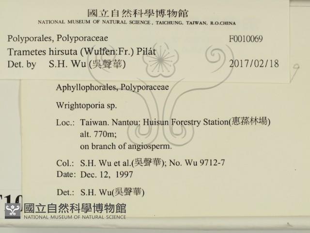 登錄號:F0010069藏品圖，第2張