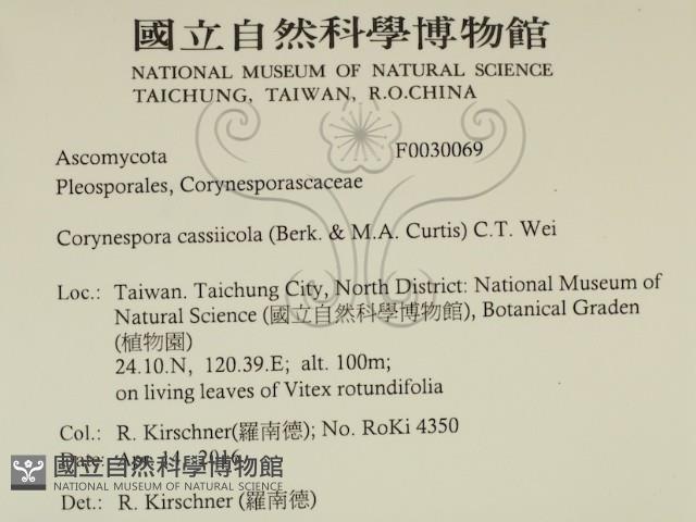 登錄號:F0030069藏品圖，第2張