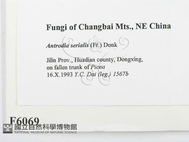 登錄號:F0006069藏品圖，第2張