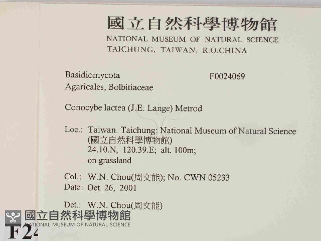 登錄號:F0024069藏品圖，第2張