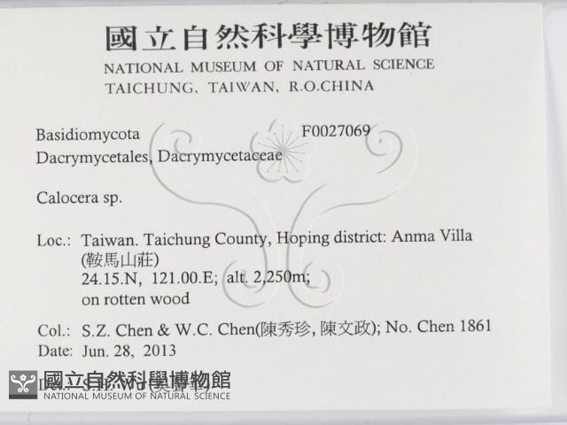登錄號:F0027069藏品圖，第2張