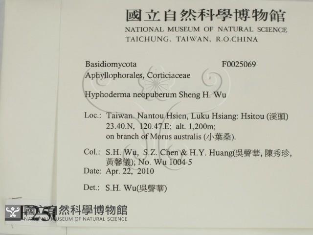 登錄號:F0025069藏品圖，第2張