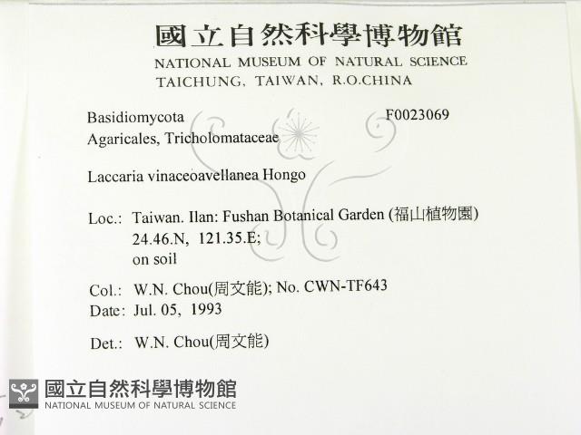登錄號:F0023069藏品圖，第2張