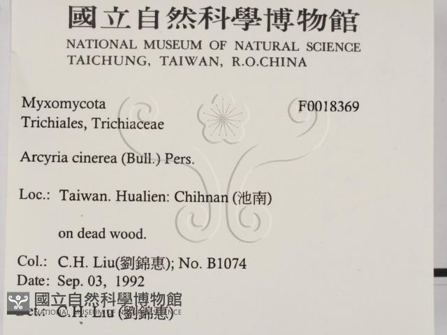 登錄號:F0018369藏品圖，第2張
