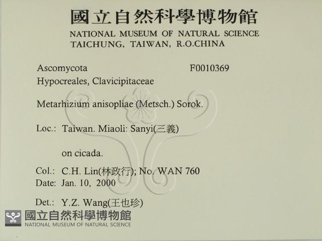 登錄號:F0010369藏品圖，第2張