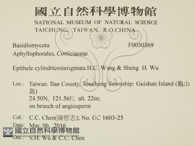 登錄號:F0030369藏品圖，第2張