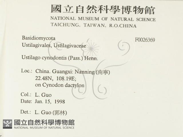 登錄號:F0026369藏品圖，第2張