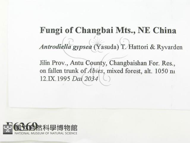 登錄號:F0006369藏品圖，第2張