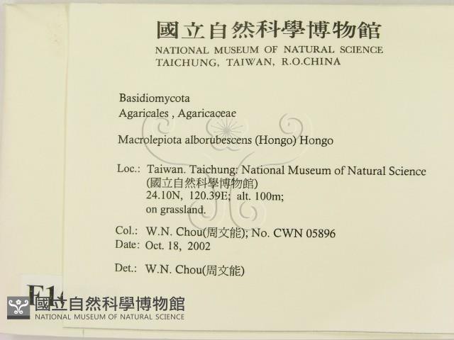 登錄號:F0016369藏品圖，第2張