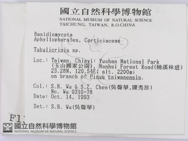 登錄號:F0001369藏品圖，第2張