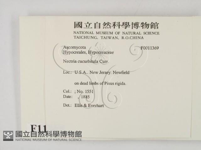 登錄號:F0011369藏品圖，第2張