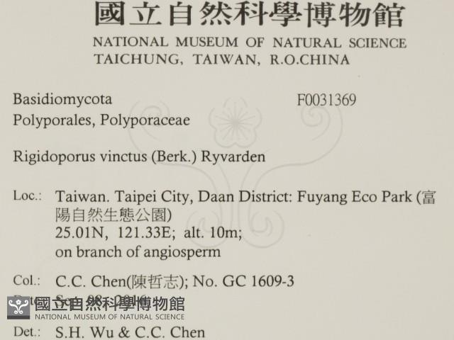 登錄號:F0031369藏品圖，第2張