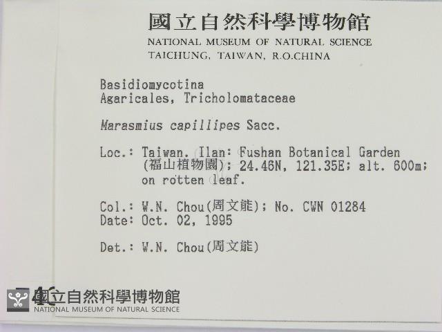登錄號:F0004369藏品圖，第2張