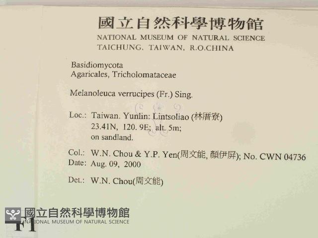 登錄號:F0014369藏品圖，第2張