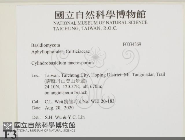 登錄號:F0034369藏品圖，第2張
