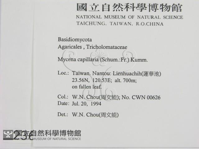 登錄號:F0002369藏品圖，第2張
