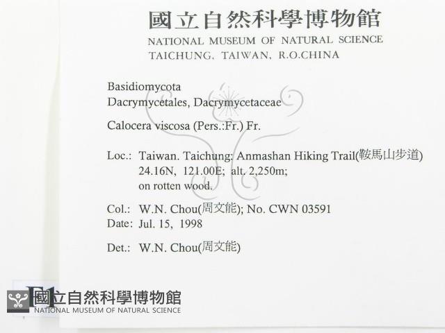 登錄號:F0012369藏品圖，第2張