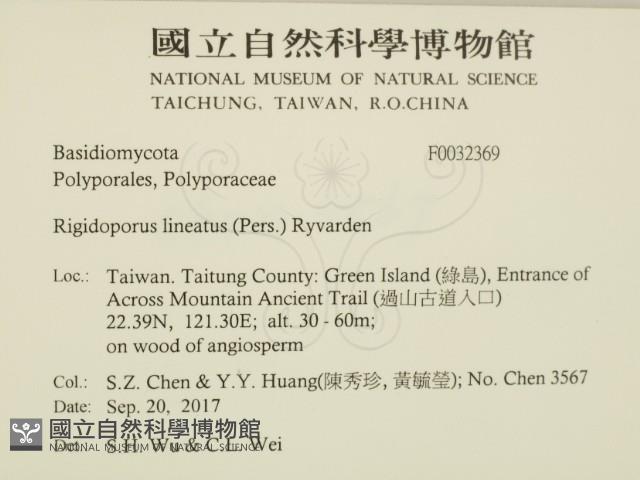 登錄號:F0032369藏品圖，第2張
