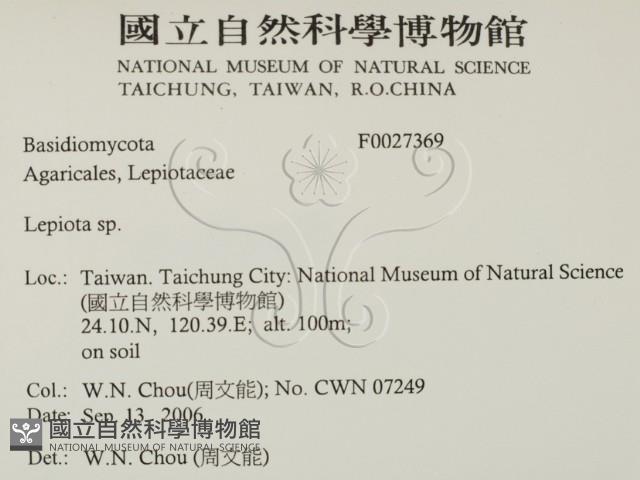 登錄號:F0027369藏品圖，第2張