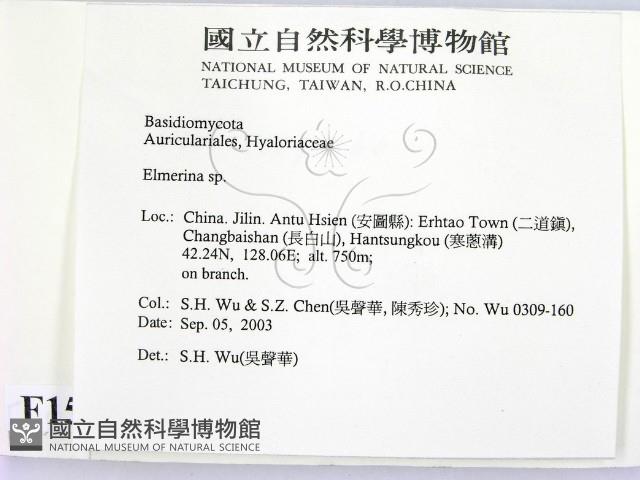 登錄號:F0015369藏品圖，第2張