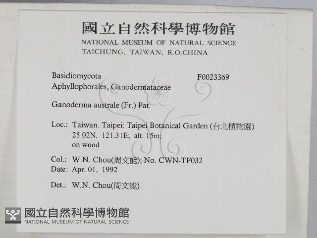登錄號:F0023369藏品圖，第2張