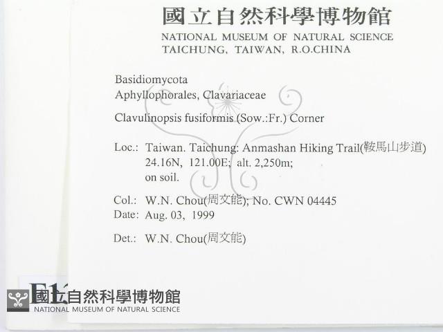 登錄號:F0013369藏品圖，第2張