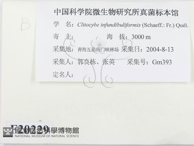 登錄號:F0020229藏品圖，第2張