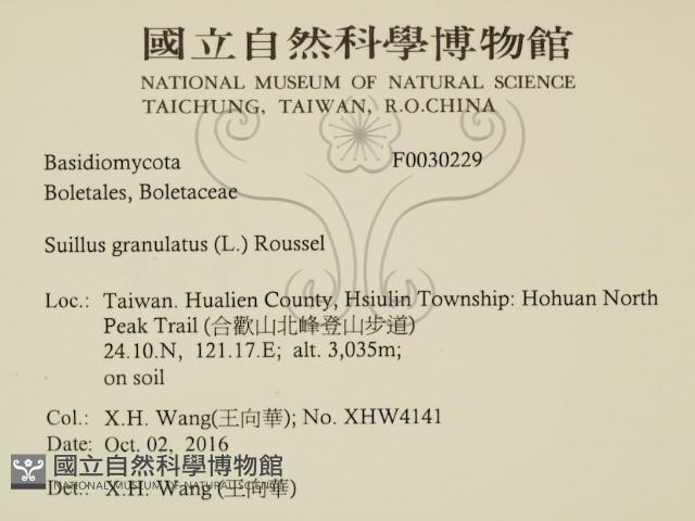 登錄號:F0030229藏品圖，第2張