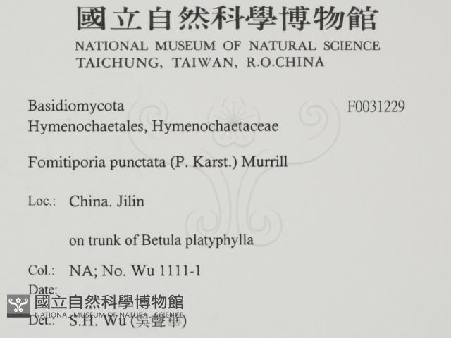 登錄號:F0031229藏品圖，第2張