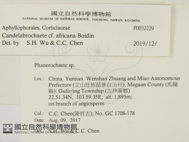 登錄號:F0032229藏品圖，第2張