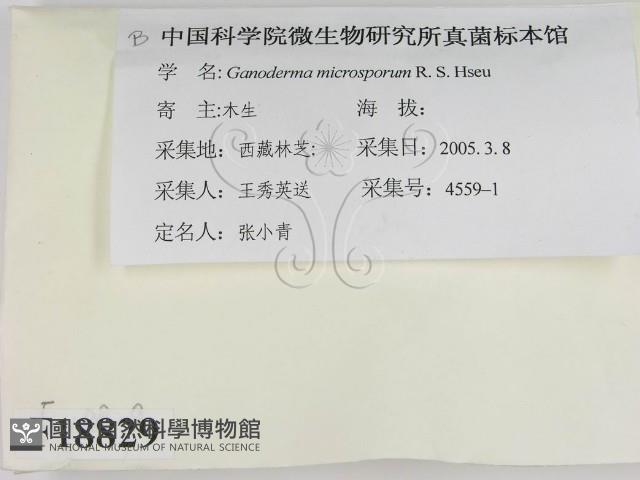 登錄號:F0018829藏品圖，第2張