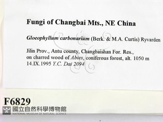 登錄號:F0006829藏品圖，第2張