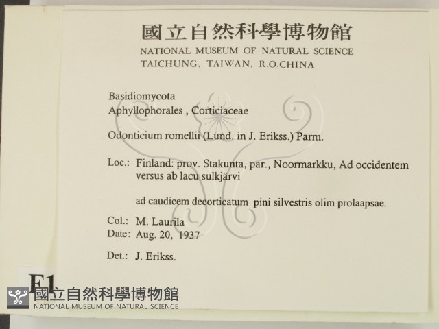 登錄號:F0016829藏品圖，第2張