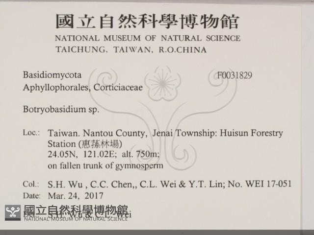 登錄號:F0031829藏品圖，第2張
