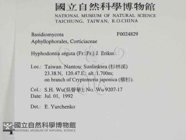 登錄號:F0024829藏品圖，第2張