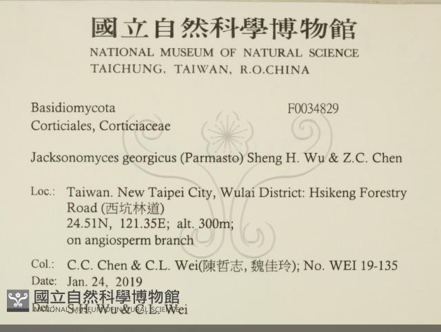 登錄號:F0034829藏品圖，第2張