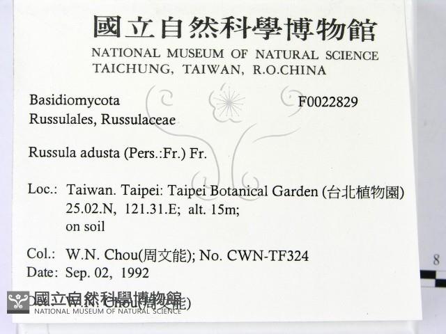 登錄號:F0022829藏品圖，第2張