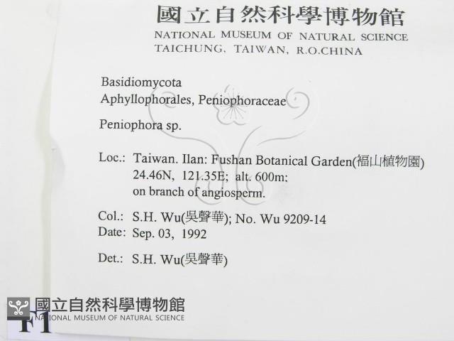 筍殼菌屬藏品圖，第2張