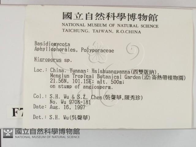 登錄號:F0007829藏品圖，第2張