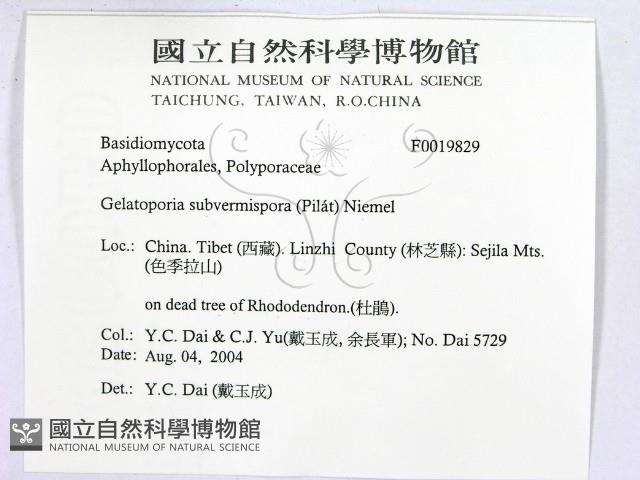 登錄號:F0019829藏品圖，第2張
