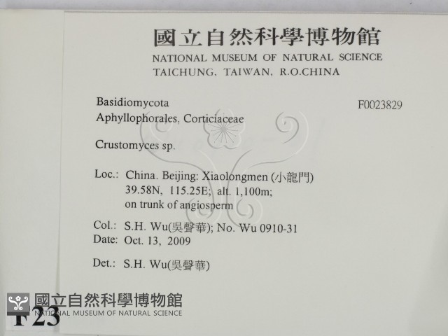 登錄號:F0023829藏品圖，第2張