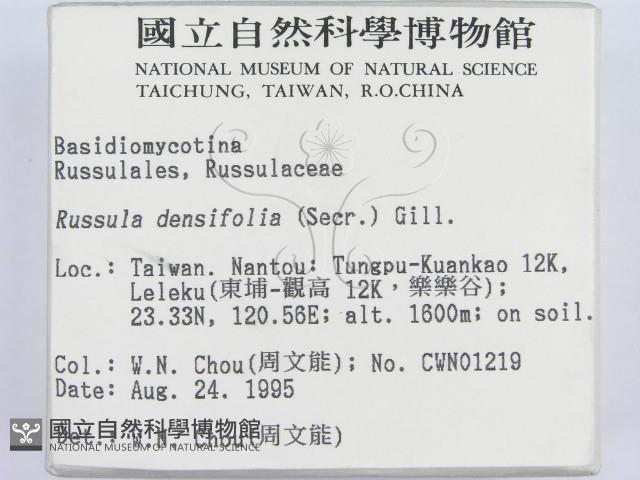 登錄號:F0003829藏品圖，第2張