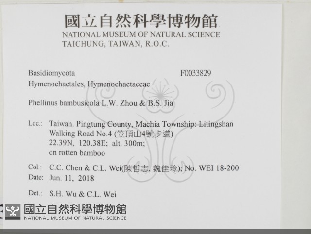 登錄號:F0033829藏品圖，第2張