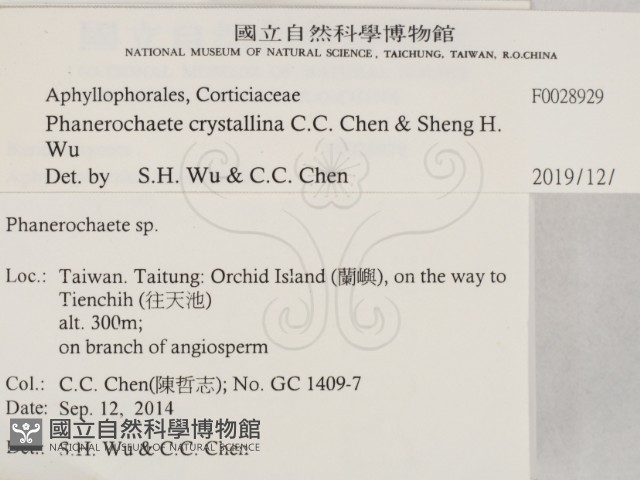 登錄號:F0028929藏品圖，第2張