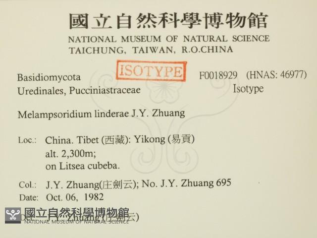 登錄號:F0018929藏品圖，第2張