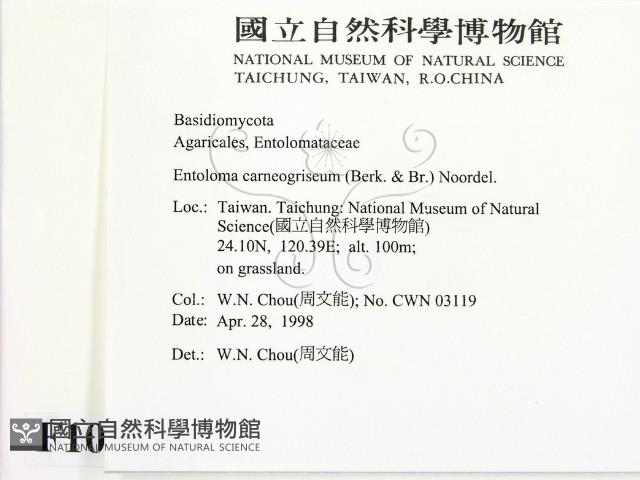 登錄號:F0010929藏品圖，第2張
