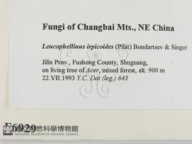 登錄號:F0006929藏品圖，第2張