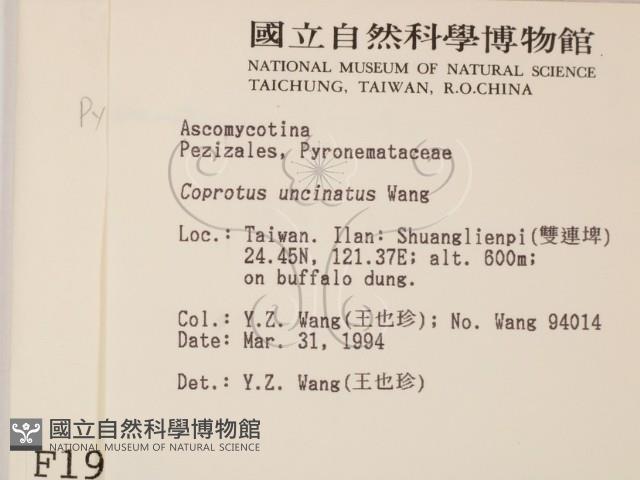 登錄號:F0001929藏品圖，第2張